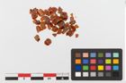Foto von Perlenkette (NHMW-PRAE-023787)